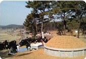 산소 봉분 작업