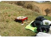 산신제 준비