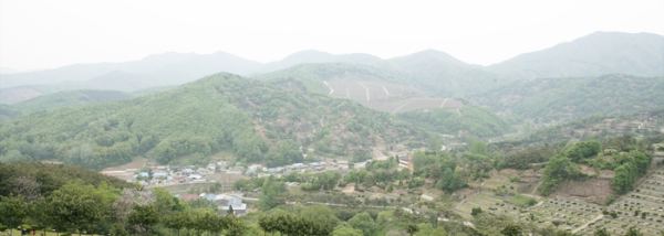 용인공원묘지 사진