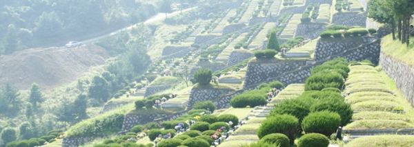 용인공원묘지 사진