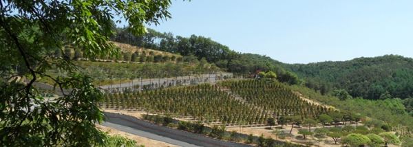 용인수목장 사진