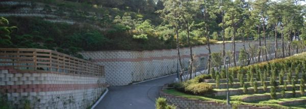 용인수목장 사진